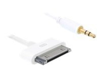 Delock - Lydkabel - Apple Dock hann til ministereojakk hann - 1 m - hvit - for Apple iPad/iPhone/iPod (Apple Dock)