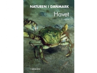 Naturen i Danmark, bd. 1 | Kaj Sand-Jensen Tom Fenchel | Språk: Dansk