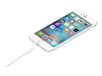 Apple - Lightning-kabel - Lightning hann til USB hann - 1 m - for iPad/iPhone/iPod (Lightning)
