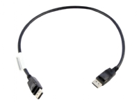 Lenovo - DisplayPort-kabel - DisplayPort (hann) til DisplayPort (hann) - 0.5 m - for ThinkCentre M70q Gen 2 M70s Gen 3 M80q Gen 3 M90a Gen 2 M90q Gen 3 ThinkStation P360
