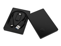 HP P600 - Solid State Drive - 1 TB - ekstern