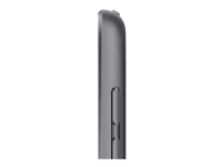 Apple 10.2-inch iPad Wi-Fi + Cellular - 9. generasjon - tablet - 256 GB - 10.2 IPS (2160 x 1620) - 3G, 4G - LTE - romgrå