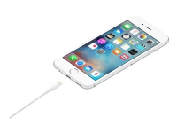 Apple - Lightning-kabel - Lightning hann til USB hann - 50 cm - for iPad/iPhone/iPod (Lightning)