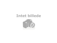 Belkin InvisiGlass - Skjermbeskyttelse for mobiltelefon - rammefarge svart - for Apple iPhone 11, XR