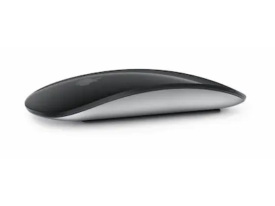Apple Magic Mouse (sort)