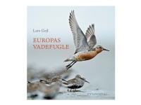 Europas vadefugle | Lars Gejl | Språk: Dansk