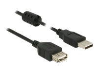 Delock - USB-forlengelseskabel - USB (hann) til USB (hunn) - USB 2.0 - 2 m - svart