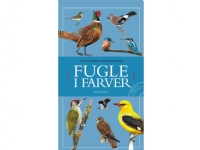Fugle i farver inkl. cd | Tommy Dybbro | Språk: Dansk