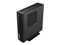 MSI PRO DP21 11MA 093EU - SFF - Core i3 10105 / 3.7 GHz - RAM 8 GB - SSD 256 GB - NVMe - UHD Graphics 630 - GigE - WLAN: 802.11a/b/g/n/ac, Bluetooth 5.0 - Win 11 Pro - monitor: ingen - svart