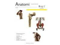Anatomi - Bog 2 | Jan Hejle | Språk: Dansk
