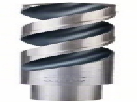 Bosch Accessories 2608577309 Metal-spiralbor 15.50 mm 1 stk