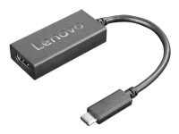 Lenovo - Video adapter - USB-C hann til HDMI hunn - 24 cm - svart - støtte for 4K 60 Hz (3840 x 2160) - for Legion Y720-15 Miix 520-12 Tablet 10 ThinkPad 11 A275 A285 A475 A485 E48X E58X L380 L380 Yoga L480 L580 P1 P51 P51s P52 P52s