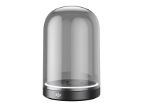DJI Mini FD01 - Ladeholder - 2 A - for Mavic Mini, Mini 2