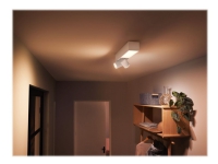 Philips Hue White Color Ambiance Centris 2-Spot Taklampe - Hvit