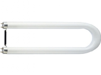 Philips TL-D U, 36 W, 2G13, U-formet, 7500 timer, 3350 lm, Kjølig hvit