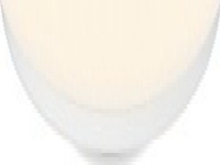 Ceiling lamp Xiaomi Yeelight Galaxy Ceiling Light 480 white YLXD17YL